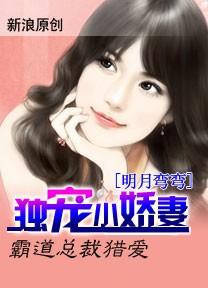霸道总裁猎爱独宠小娇妻