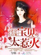 宝贝太惹火老公轻点宠全文免费