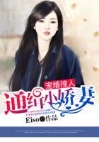宠婚撩人全集