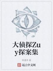 我想看一下大侦探