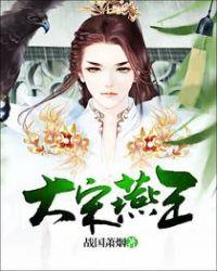 宋朝时的大燕国是哪里