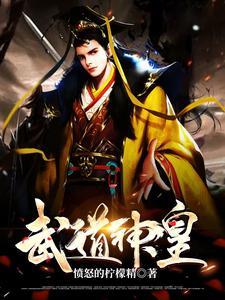 武道神帝全文阅读