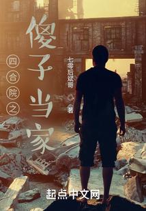 四合院之傻子当家 七零后斌哥