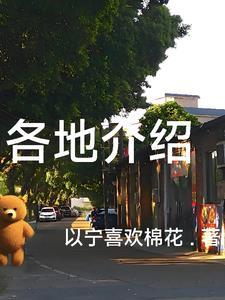 介绍各地风景或民俗做手抄报