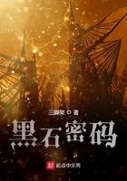 黑石密码讲了什么