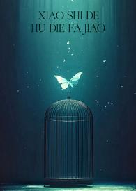 消失的蝴蝶发夹类似