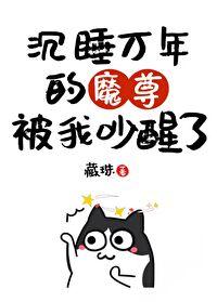 我把魔头哔哔醒了妙笔