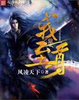 我是至尊百度百科