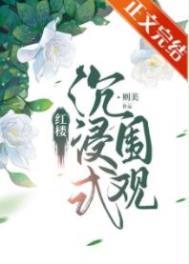 红楼沉浸式围观 百度