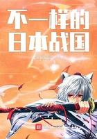 不一样的日本战国贴吧