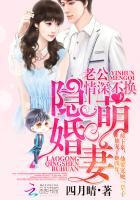 隐婚萌妻:老公情深不换