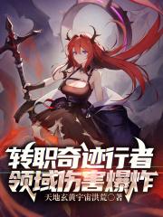 转职奇迹行者,领域伤害爆炸