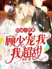 财阀小娇妻:顾少宠我,我超甜!