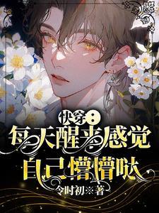 快穿:每天醒来感觉自己懵懵哒