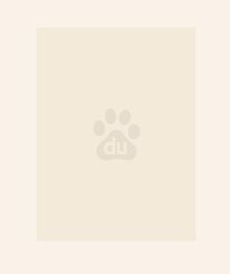 世子凶猛:谁敢和我抢女人?