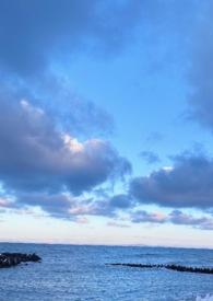 睡服那个作精(1V1高H)