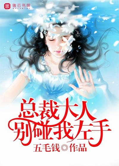 总裁大人,别碰我左手